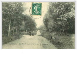 62.HESDIN.LA FORET VUE DE LA ROUTE DE FRUGES - Hesdin