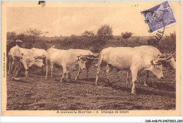 CAR-AABP3-58-0175 - A TRAVRES LE MORVAN - Attelage De Boeuf - Agriculture - Andere & Zonder Classificatie