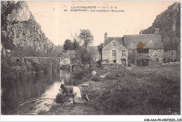 CAR-AAAP9-61-0675 - DOMFRONT - Les Anciennes Tanneries - Lavandiere - Domfront