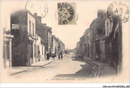 CAR-AAAP9-61-0638 - LE-MESTE-SUR-SARTHE - La Gare - Autres & Non Classés