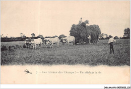 CAR-AAAP6-58-0447 - Les Travaux Des Champs - Un Attelage A Six- Agriculture, Bufs - Andere & Zonder Classificatie