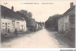 CAR-AAAP6-58-0442 - CHAMPLEMY - La Route De NEVERS - Nevers