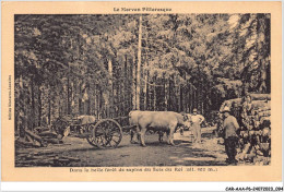 CAR-AAAP6-58-0428 - Dans La Belle Foret De Sapins Du Bois Du Roi - Attelage De Boeufs, Agriculture - Altri & Non Classificati