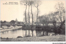 CAR-AAHP5-60-0435 - RULLY - La Mare Du Trou à Paul - Autres & Non Classés