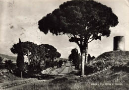 ITALIE - Roma - Via Appia E Tombe - Carte Postale - Autres Monuments, édifices