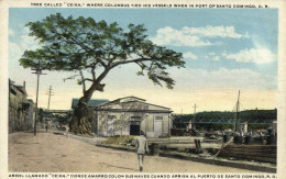 Dominican Republic, SANTO DOMINGO, Arbol Llamado "Ceiba" (1923) Postcard - Dominican Republic