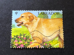 FRANCE Timbre 4545 Labrador, Oblitéré - Gebruikt