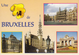 Une Pensee De Bruxelles - Mehransichten, Panoramakarten