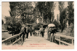 Loures , Passerelle , Attelage De Chiens - Autres & Non Classés