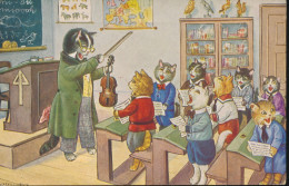 CAT MUSIC LESSON  = LEÇON DE MUSIQUE POUR CHAT - Katten