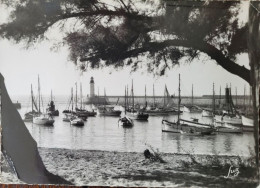 Ile D'Oléron - La Cotinière - Port - Ile D'Oléron