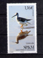 Saint Pierre Et Miquelon. Oiseau. Limicole - Ongebruikt