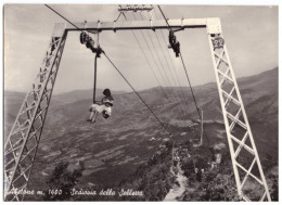 1957 ABETONE 2  SEGGIOVIA DELLA SELLETTA   PISTOIA - Pistoia