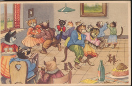 CAT  KAT CHAT ==  DANSPARTIJ = DANCE PARTY = SOIRÉE DANSANTE - Katten