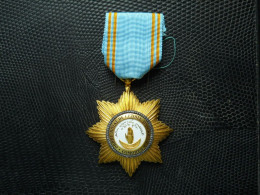 Comores Ordre Royal De L'Etoile D'Anjouan ,étoile De Chevalier , Vermeil ,émail - Autres & Non Classés