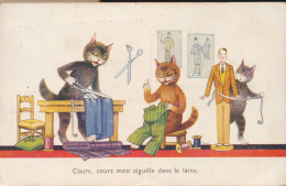 CAT  KAT CHAT == COURS , COURS MON AIGUILLE DANS LA LAINE - Katzen