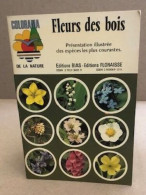 Fleurs Des Bois / Présentation Illustrée Des Espèces Les Plus Courantes - Jardinage