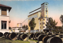 32-VIC-FEZENSAC- UN COIN DE LA CAVE ET LES SILOS - Vic-Fezensac