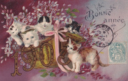 C24- CHATS - CHATONS DANS LE PANIER VOUS SOUHAITENT UNE BONNEE ANNEE 1905 - EDIT.  G.B. PARIS - Katten