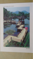 1991 DIVERS - Postcards