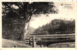 BOTASSART / PAYSAGE D EAU DU MOULIN DU RIVAGE - Bouillon