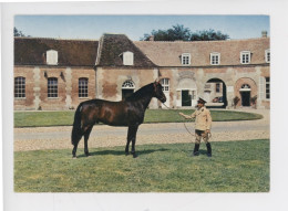 "PATARA" étalon Trotteur Français Devant La Grille D'honneur Du Haras Du Pin (61) Cp Vierge N°42 Artaud - Paardensport