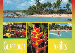 FRANCE - Guadeloupe - Antilles - Multi-vues De Différents Endroits - Animé - Vue Sur La Plage - Carte Postale Ancienne - Altri & Non Classificati