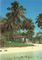FRANCE - Guadeloupe - Vue Sur La Plage De Sainte Anne - Vue Générale - Carte Postale Ancienne - Altri & Non Classificati