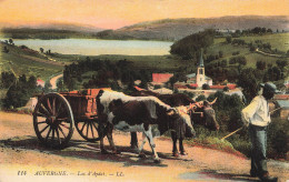 FRANCE - Auvergne - Lac D'Aydat - LL - Vaches Tirant Une Charrue - Colorisé - Carte Postale  Ancienne - Auvergne Types D'Auvergne