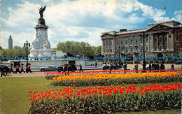 R148766 Buckingham Palace. London. 1965 - Andere & Zonder Classificatie