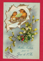 AE575 FANTAISIES OISEAUX HABILLES HUMANISES ROSSIGNOLS( EVENTAIL , BOUQUET FLEURS )FANCIES BIRDS CARTE GAUFREE 1905 REF: - Animales Vestidos