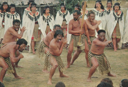 CARTE POSTALE 10CM/15CM PHOTO ORIGINALE COULEUR : MAORI WARRIORS IN ACTION  WHAKAREWAREWA  ROTORUA   NEW ZEALAND - New Zealand