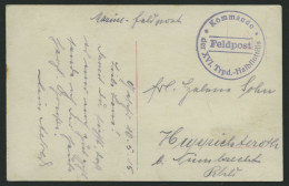 MSP VON 1914 - 1918 (16. T-Boots Halbflottille), 10.5.1915, Violetter Feldpost- Briefstempel, Feldpostkarte Von Bord Ein - Marittimi