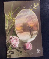 1465 THEME . LOT DE TROIS CARTES  .  FLEURS  . A VOIR - Flowers