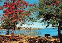 FRANCE - Guadeloupe - L'Autre Bord à Moule - Vue Sur Le Village Au Loin - Vue Sur La Mer - Carte Postale Ancienne - Andere & Zonder Classificatie