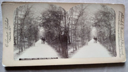 New York Central Park Avenue Des Amoureux - Photo Stéréoscopique Underwood  BE - Stereoscopic