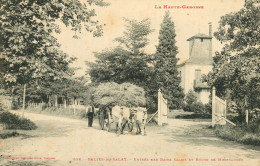 CPA-31- SALIES-DU-SALAT-1905- Entrée Des Bains Salins Et Route De Montsaunès - Attelage De Boeufs - Labouche N° 586 - Salies-du-Salat