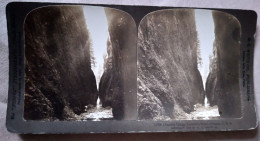 Gorge Oneonta, Columbia River, Oregon - Photo Stéréoscopique H.C. White 1905   TBE - Stereo-Photographie