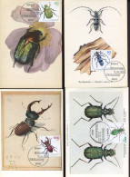 X0720 Germany, 5 Maximum Cards Differents Insects Of The Set 15.04.1993,beetles, Etc. - Otros & Sin Clasificación