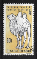 Ceskoslovensko 1962 Prague Zoo  Y.T. 1216 (0) - Used Stamps
