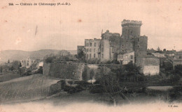 CPA - Château De CHÂTEAUGAY - Edition A.G. - Autres & Non Classés