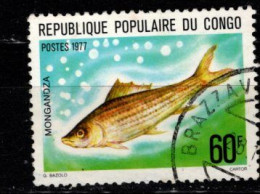 - CONGO - 1977 - YT N° 452 - Oblitérés -  Poisson - Usados