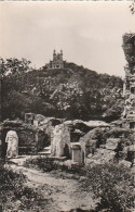 Bône - Ruines Et Cathédrale D'Hippone - Annaba (Bône)