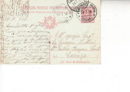 ITALIA 1918 - Intero Postale  Da   Fiumefreddo Bruzio A  Cosenza - Postwaardestukken