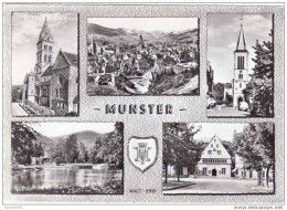 MUNSTER - Multivue - Blason # 65 - Munster