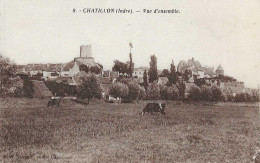 C/293              36    Chatillon   -   Vue Générale - Otros & Sin Clasificación