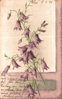 P0 - Carte Postale Fantaisie - Fleurs Violettes - Flores