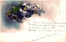 P0 - Carte Postale Fantaisie - Fleurs - Pensées - Flowers