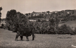 CPSM - La TOUR D'AUVERGNE - Vue Gale (pâturage Vaches) - Edition Combier (format 9x14) - Autres & Non Classés