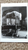 CPM CHEVAL SUR UN PIANO FILM BURLESQUE AVEC LAUREL ET HARDY WRONG AGAIN LEO MC CAREY USA 1929 NEWS PRODUCTIONS - Paarden